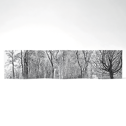 Panorama Sylva — 6 illustrations à déplier ou à poser