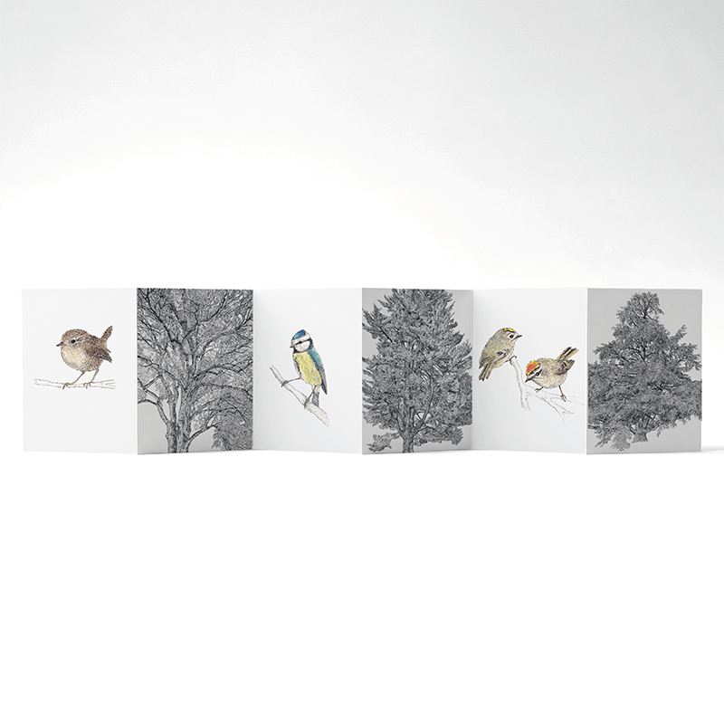 Panorama Whispering Trees — 6 illustrations à déplier ou à poser