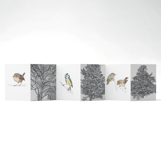 Panorama Whispering Trees — 6 illustrations à déplier ou à poser