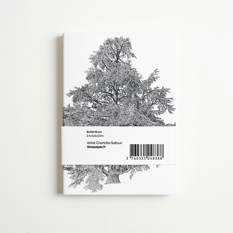 Panorama Whispering Trees — 6 illustrations à déplier ou à poser