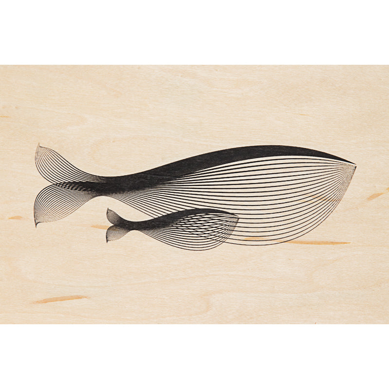 Wood postcard animals whale W