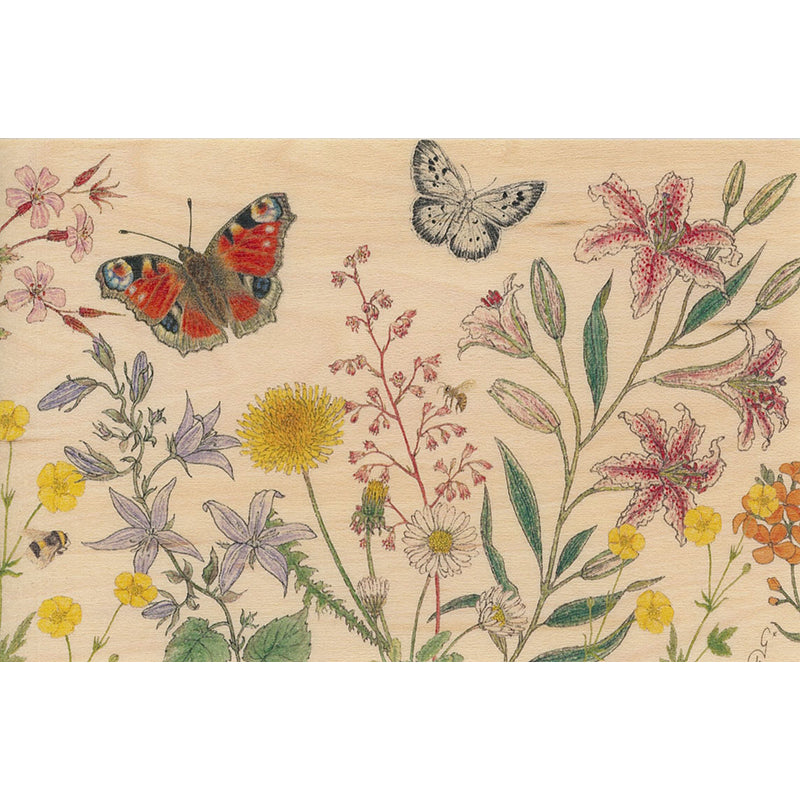 Wood postcard black and colors butterflies W