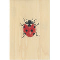 Carte en bois black and colors coccinelle W