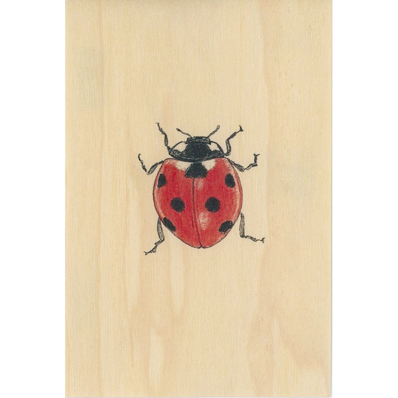 Wood postcard black and colors coccinelle W