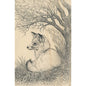 Wood postcard black and colors fox W
