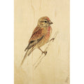 Carte en bois black and colors pink bird W