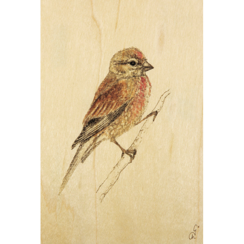 Wood postcard black and colors pink bird W