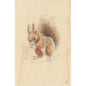 Wood postcard black and colors squirrel W