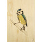 Wood postcard black and colors yellow bird W