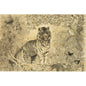 Carte en bois black and colors tiger W