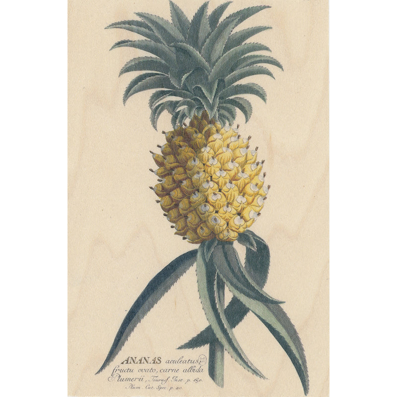 Carte en bois bnf botanique ananas W