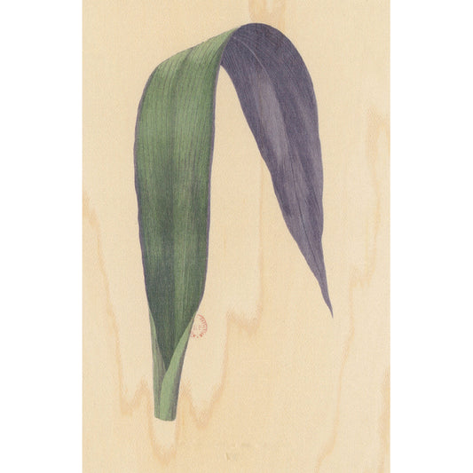 Carte en bois BNF botanique feuille 1 W