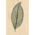 Carte en bois bnf botanique feuille 10 W