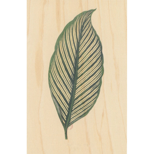 Carte en bois BNF botanique feuille 10 W