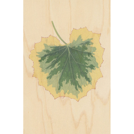 Carte en bois BNF botanique feuille 2 W