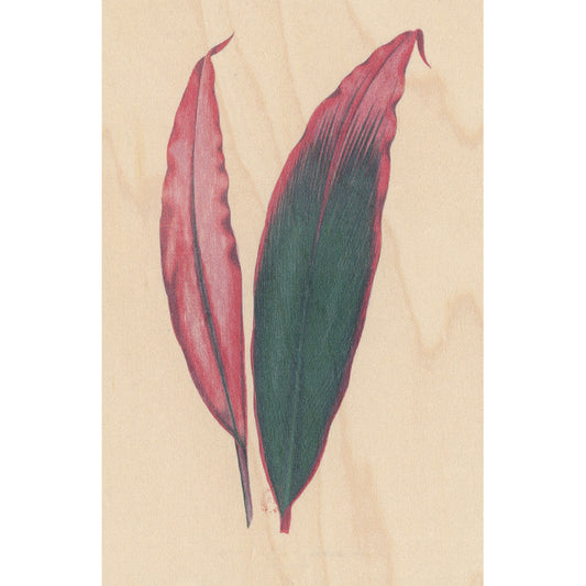 Carte en bois BNF botanique feuille 3 W