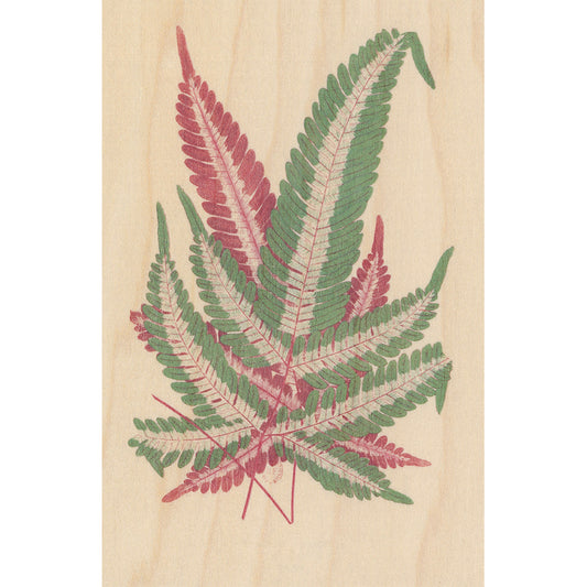 Carte en bois BNF botanique feuille 4 W