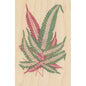 Carte en bois BNF botanique feuille 4 W