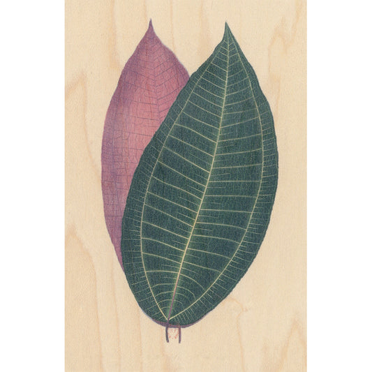 Carte en bois BNF botanique feuille 5 W