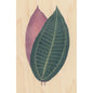 Carte en bois BNF botanique feuille 5 W
