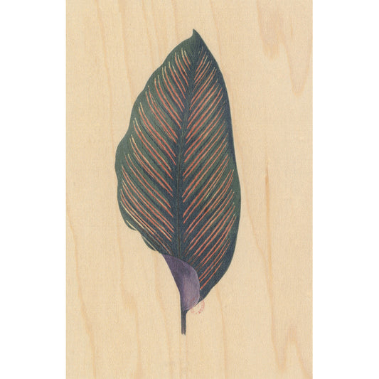 Carte en bois BNF botanique feuille 7 W