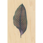 Carte en bois BNF botanique feuille 7 W
