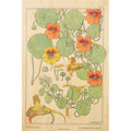 Carte en bois bnf fleurs capucine W