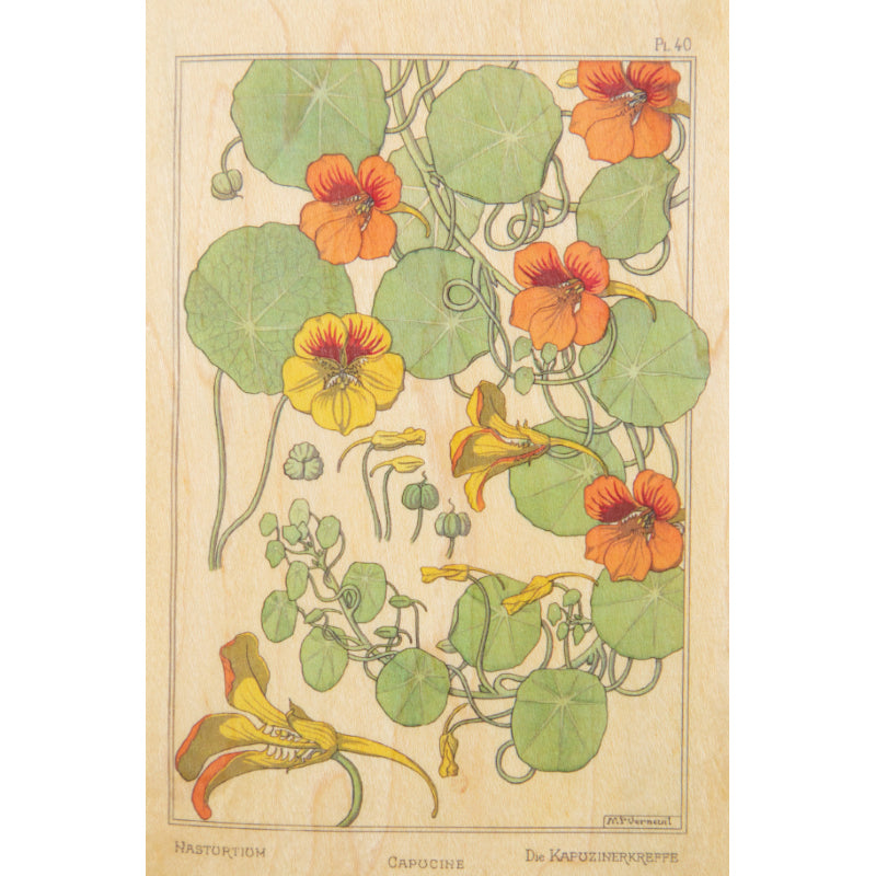 Carte en bois bnf fleurs capucine W