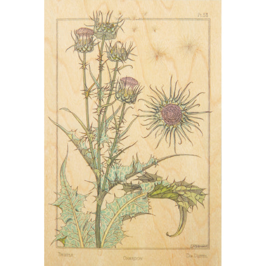 Carte en bois BNF fleurs chardon W