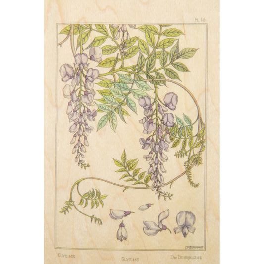 Carte en bois BNF fleurs glycine W