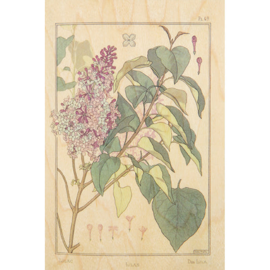 Carte en bois BNF fleurs lilas W