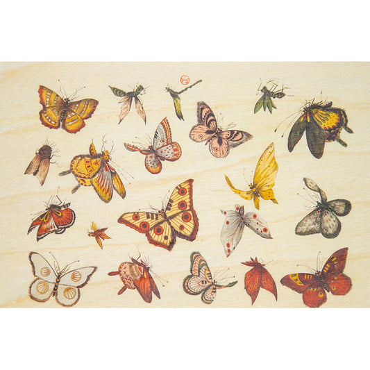 Carte en bois BNF ornements papillons W