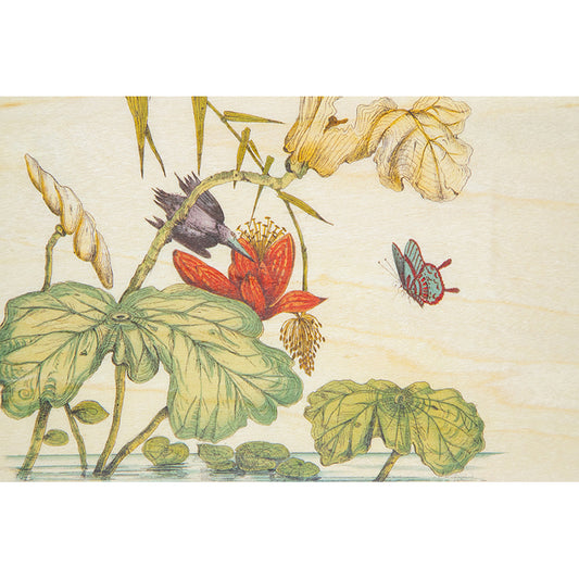 Carte en bois BNF ornements sur l'eau W