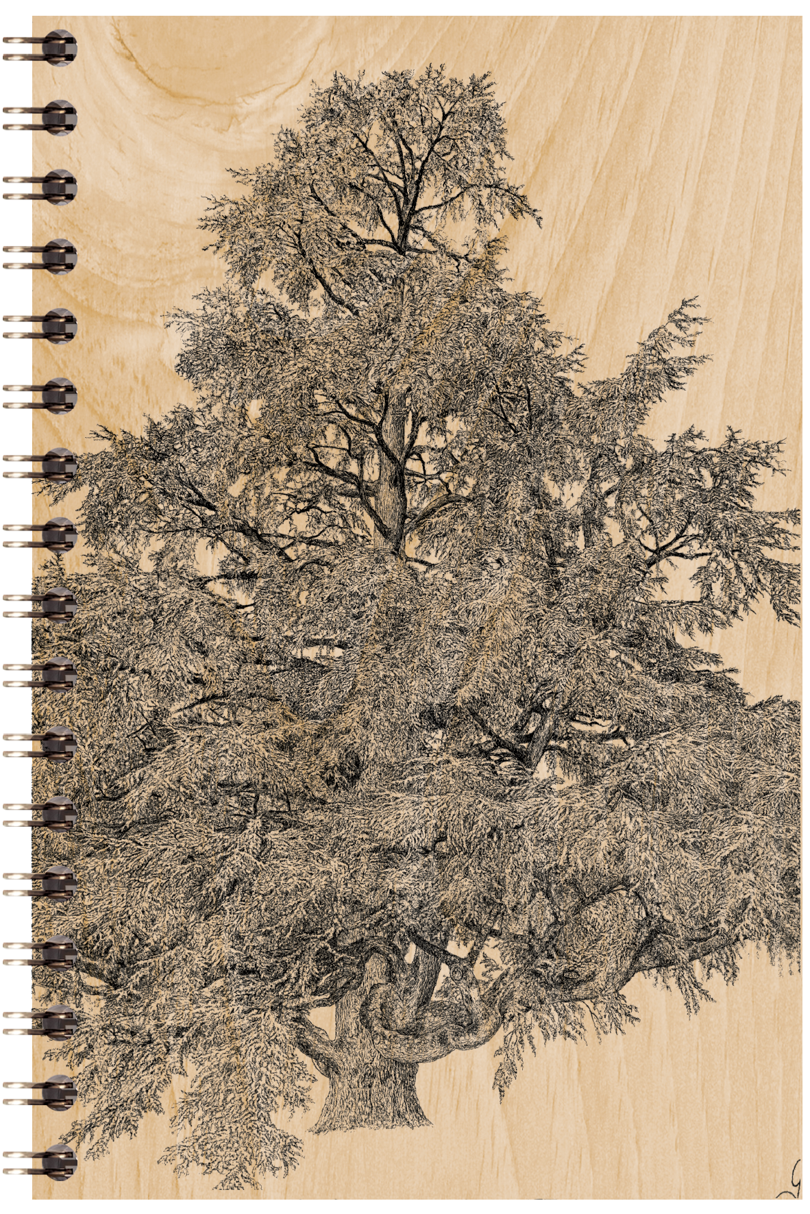 Carnet en bois black and colors big tree W