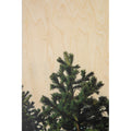 Carte en bois greetings 2 branch W