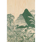 Wood postcard landscapes jungle W