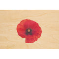 Carte en bois photos coquelicot W