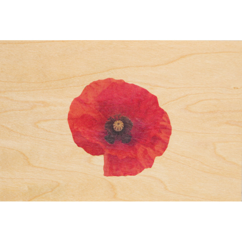 Carte en bois photos coquelicot W