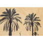 Wood postcard photos palm W