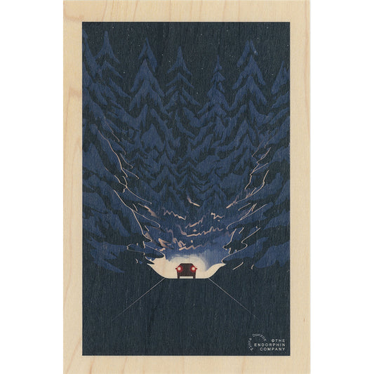 Carte en bois ski in the dark W