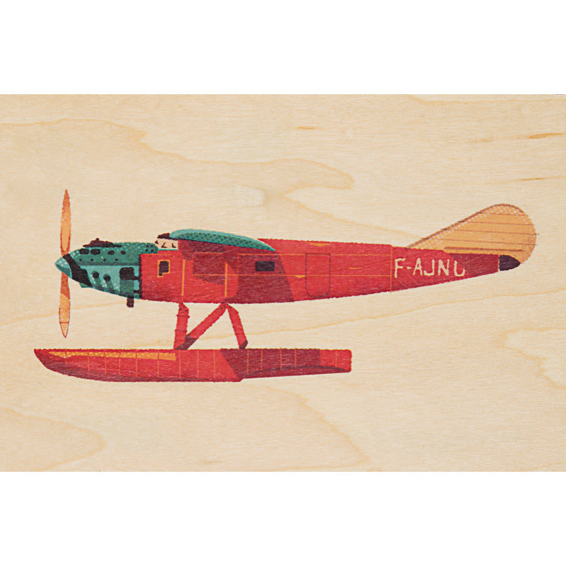 Wooden travel plane map W